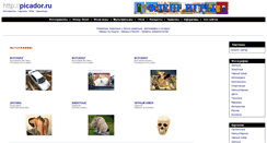Desktop Screenshot of picador.ru