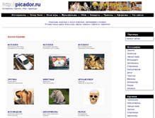 Tablet Screenshot of picador.ru